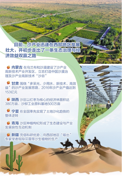 首届沙产业创新创业大赛筛选沙产业优秀项目和成果